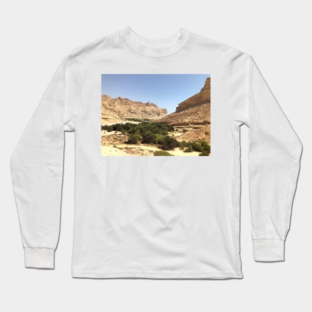 Oasis at Oman Long Sleeve T-Shirt by PedaDesign